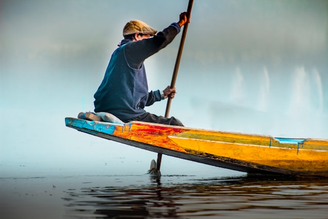 Telvorandria benefícios